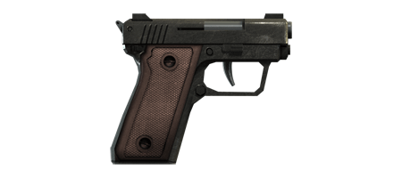 SNS Pistol (Карманный пистолет)